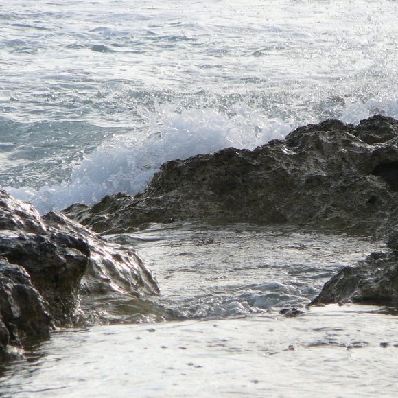 Clearance: Everything Must Go. Make An Offer. Bundle & Save. Buy Now! - Picture 15 of 17